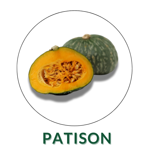 Patison