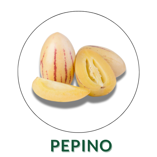 Pepino