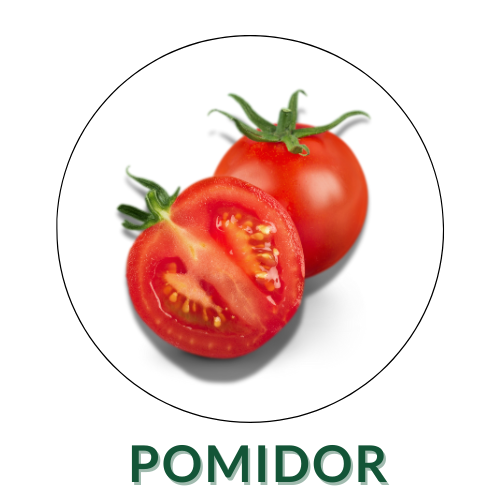 Pomidor