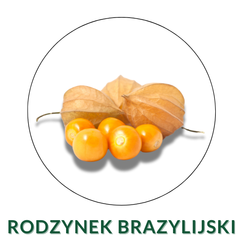 Rodzynek brazylijski / Miechunka peruwiańska