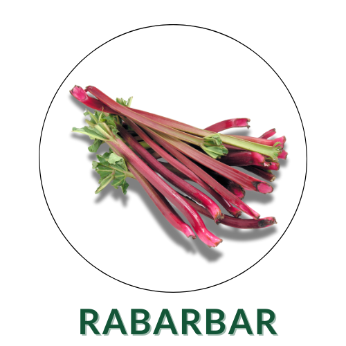 Rabarbar