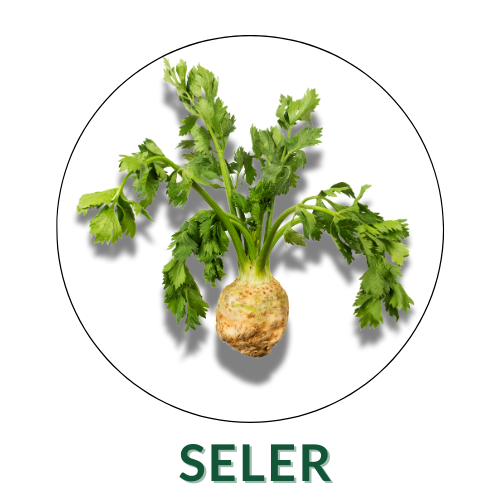 Seler