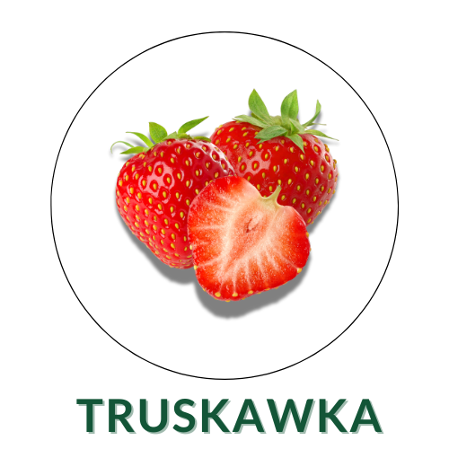 Truskawka