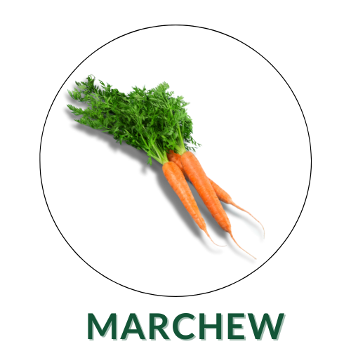 Marchew