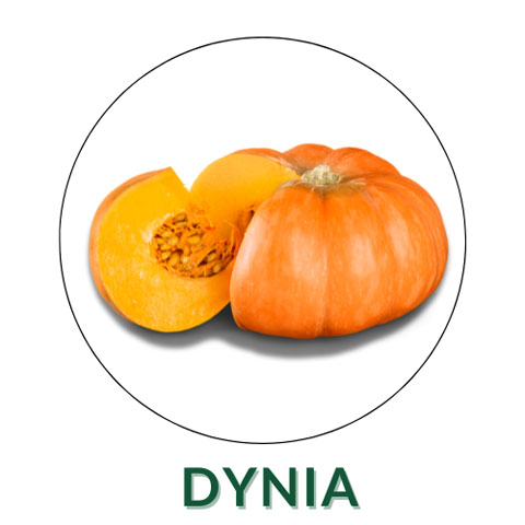 Dynia