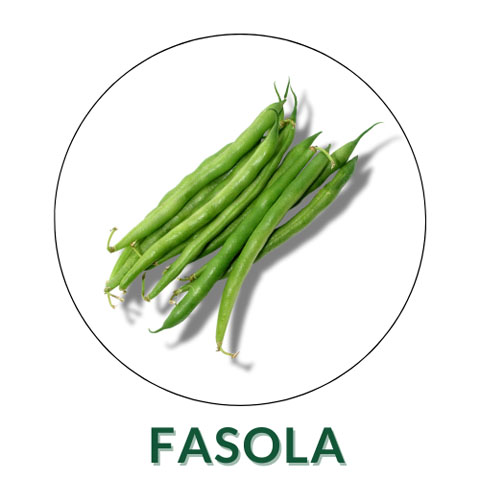 Fasola