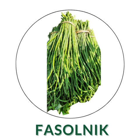 Fasolnik