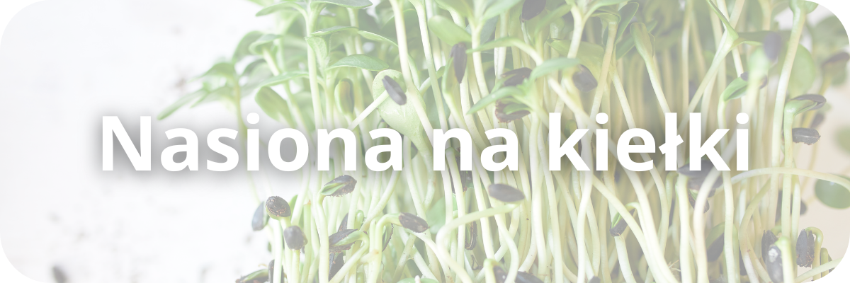 Nasiona na kiełki