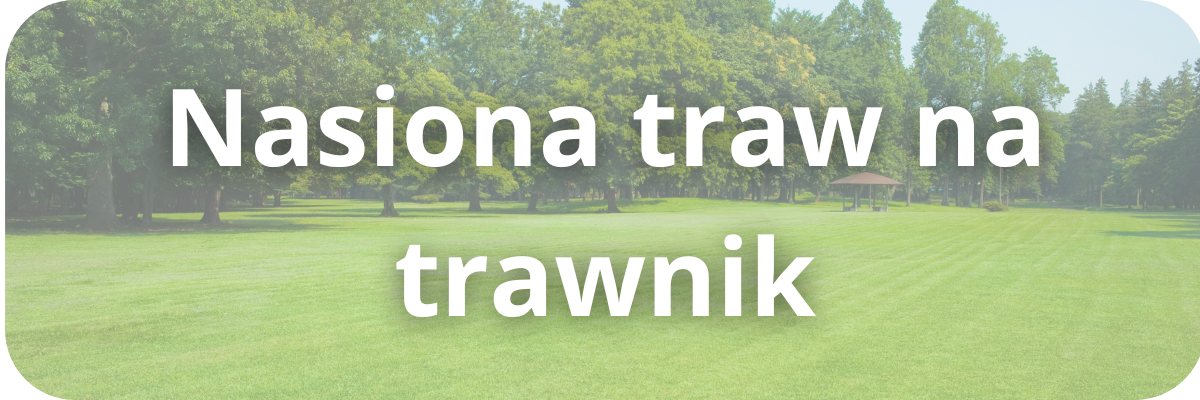 Nasiona traw na trawnik