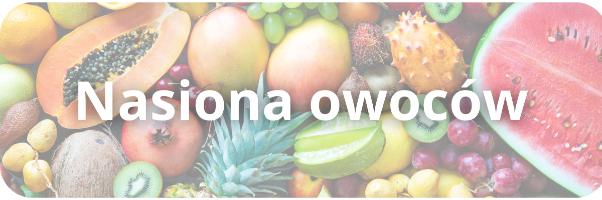 Nasiona owoców