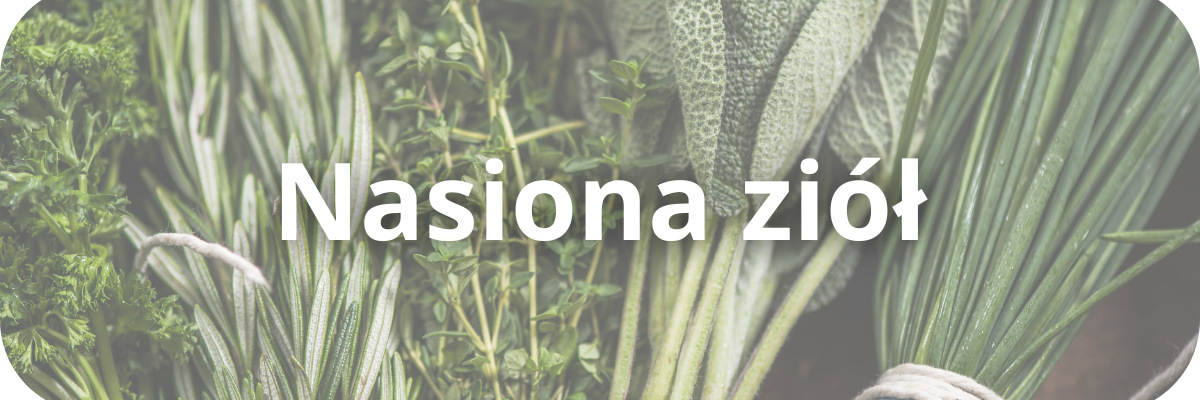 Nasiona ziół