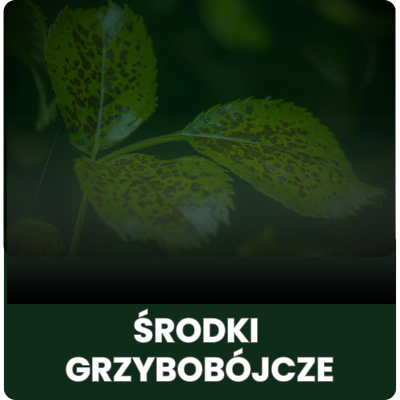 Środki grzybobójcze