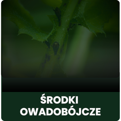 Środki owadobójcze