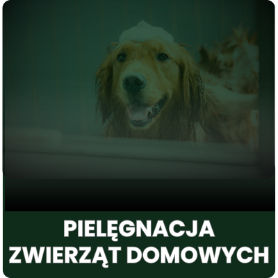 Pielęgnacja zwierząt domowych