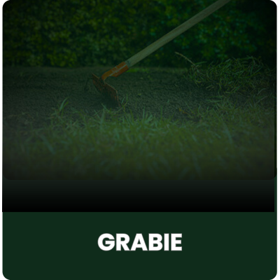 Grabie