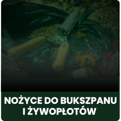 Nożyce do bukszpanu i żywopłotów