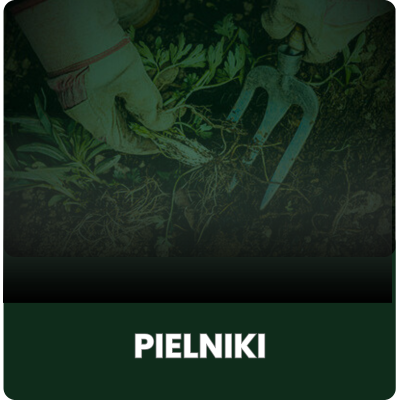Pielniki