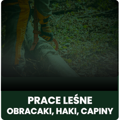 Prace leśne