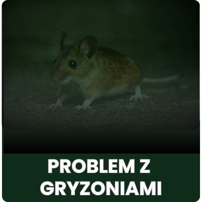 Problem z gryzoniami