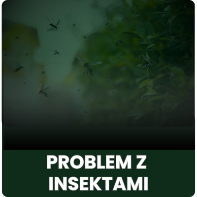 Problem z insektami