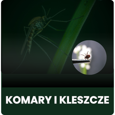 Komary i kleszcze