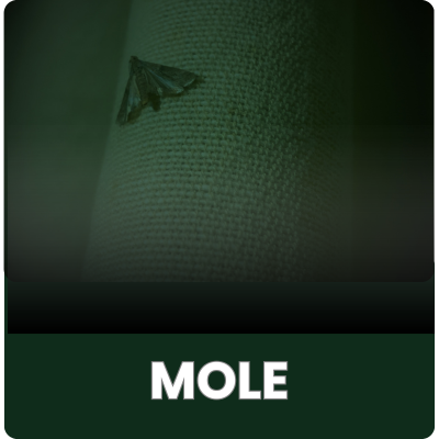 Mole spożywcze i odzieżowe