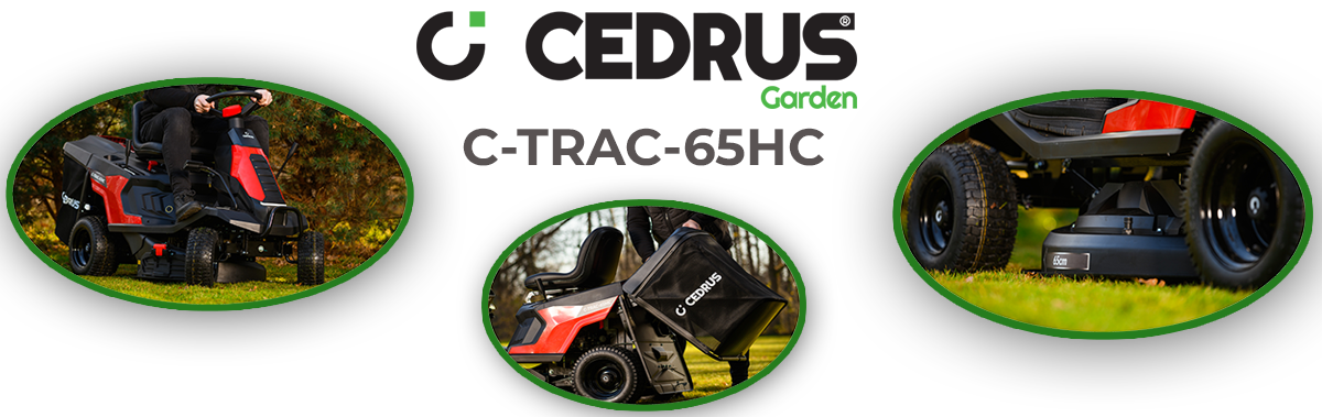 Rider Cedrus C-TRAC-65HC