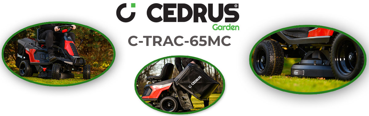Rider Cedrus C-TRAC-65MC